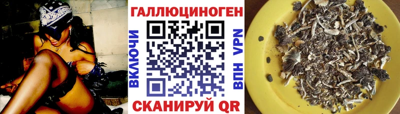 Купить  Воронеж  Галлюциногенные грибы Cubensis 